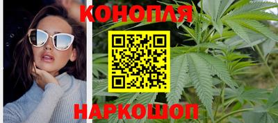прущие грибы Пушкино