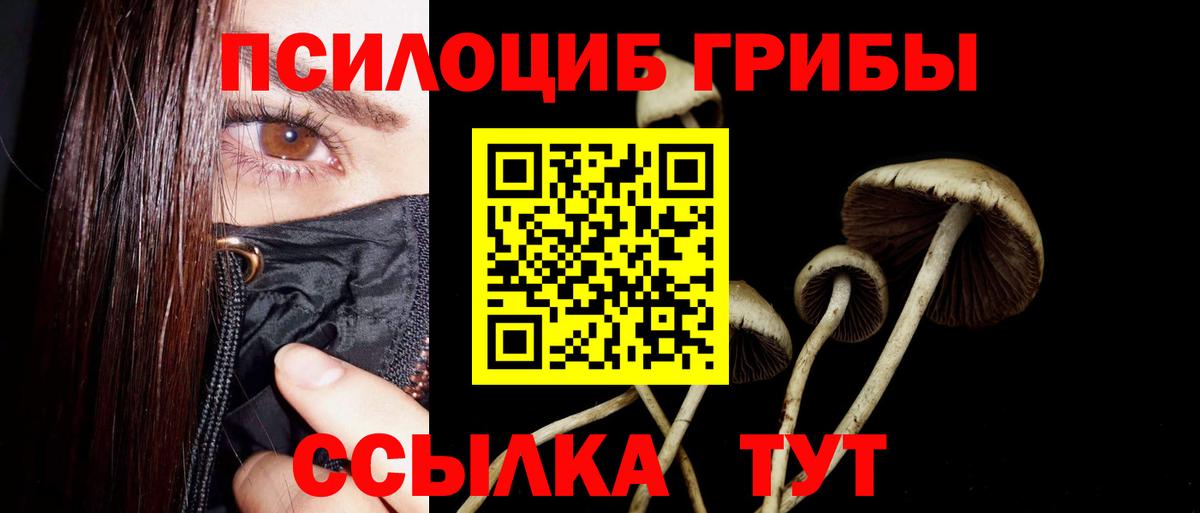 Павлово  Галлюциногенные грибы Magic Shrooms  Вход с VPN 
